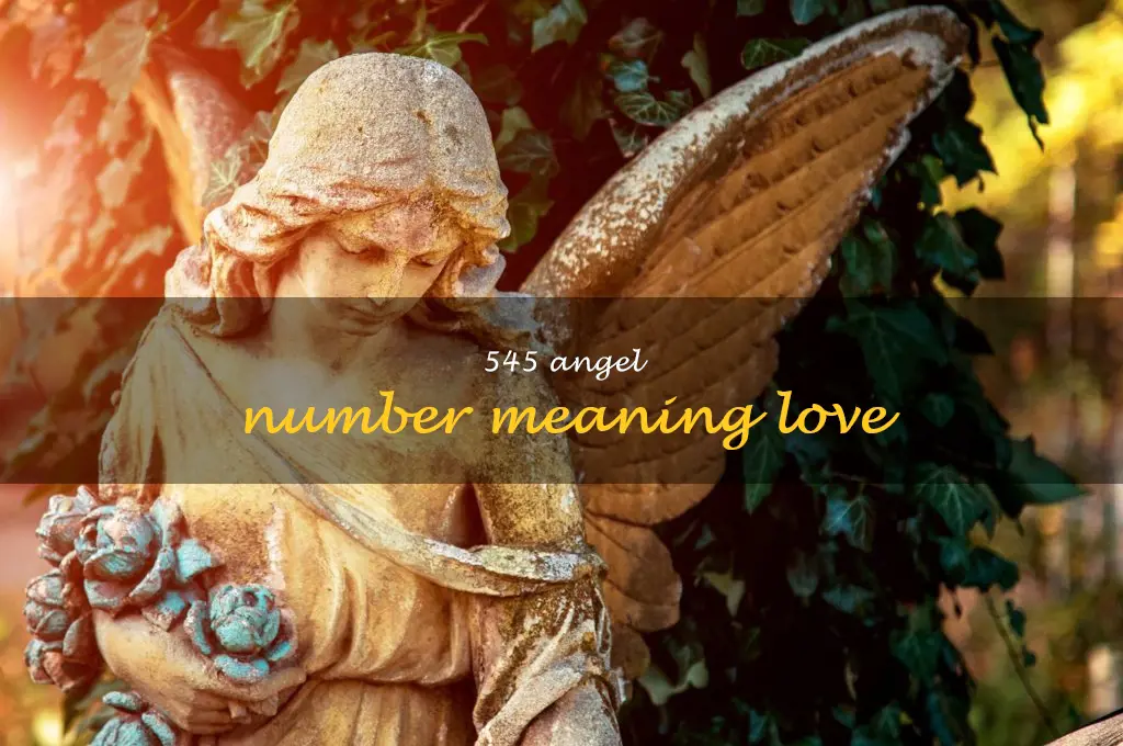 545 angel number meaning love