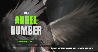 Unlock the Meaning Behind the 5453 Angel Number