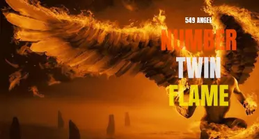 Unveiling the Mystical Significance of 549 - The Angel Number of Twin Flames