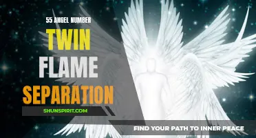 Understanding the Spiritual Meaning of the 55 Angel Number and Twin Flame Separation