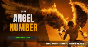 Unlocking the Meaning of the 5533 Angel Number