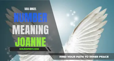 Discovering the Sacred Meaning Behind the Angel Number 555 - Joanne's Guide
