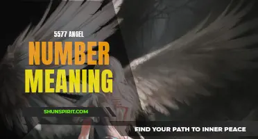 Discover the Powerful Meaning Behind the 5577 Angel Number
