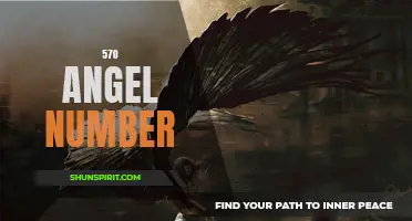 Unraveling the Meaning Behind the 570 Angel Number