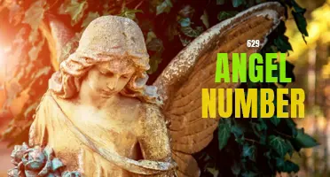 Unlocking the Meaning Behind the 629 Angel Number