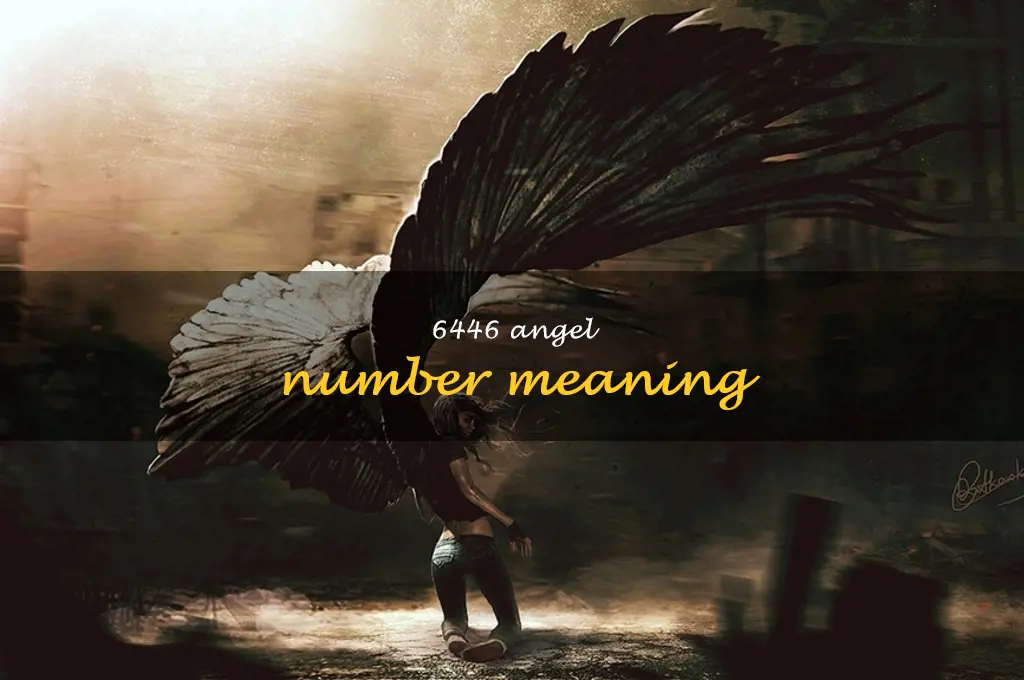 6446 angel number meaning