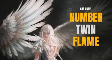 Unveiling the Meaning Behind the 645 Angel Number and Its Connection to Twin Flame Connections