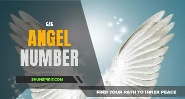 Discover the Meaning of 646: Uncovering the Significance of the Angel Number 646