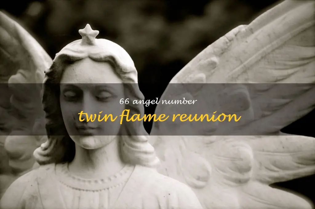 66 angel number twin flame reunion