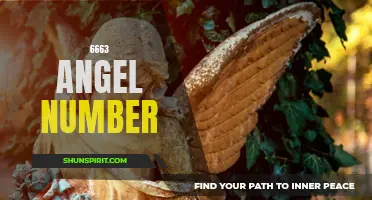 Uncovering the Spiritual Meaning Behind 6663: What the Angel Number 6663 Could Mean for You