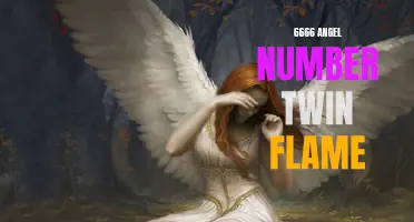 Discover the Meaning Behind 6666 Angel Number Twin Flame!