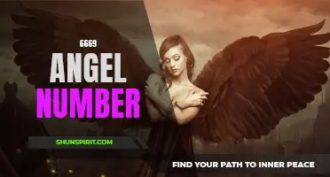 Understanding the Meaning Behind the 6669 Angel Number