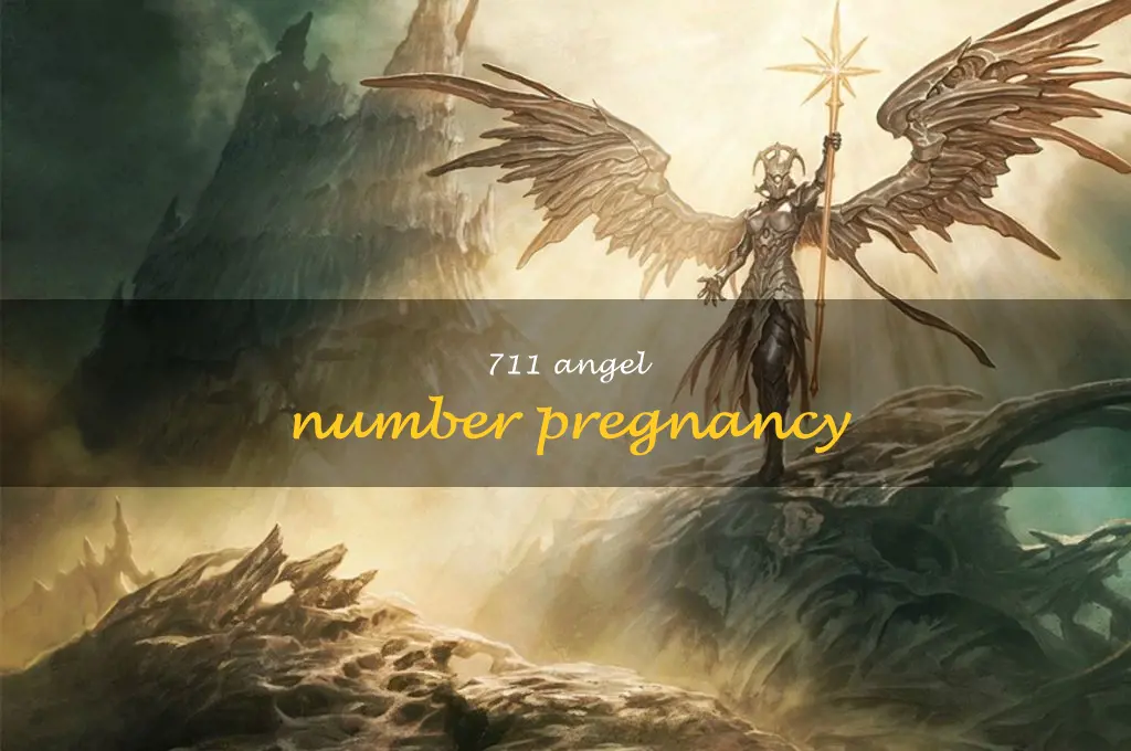 711 angel number pregnancy