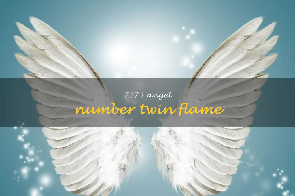 7373 angel number twin flame