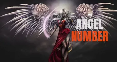 Discover the Meaning Behind the Power of the 753 Angel Number