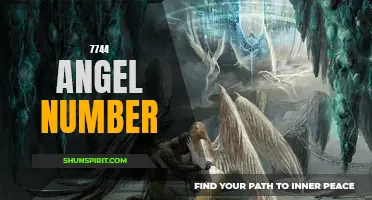 Uncovering the Meaning Behind the 7744 Angel Number