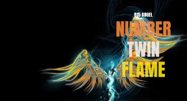 Unlocking the Meaning of the 815 Angel Number in Twin Flame Relationships