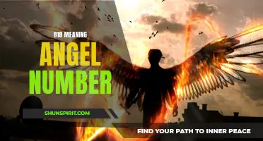 Discover the Special Meaning Behind Angel Number 818!