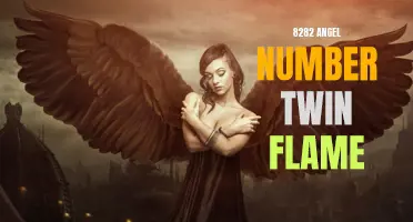 Unveiling the Power of 8282: What the Angel Number Twin Flame Means