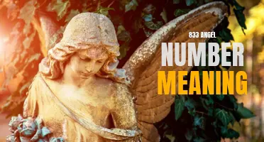 Discover the Mystical Power of the 833 Angel Number