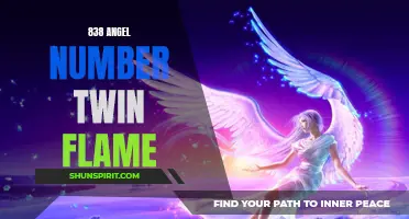 Unlocking the Power of 838: Discovering Your Angel Number Twin Flame