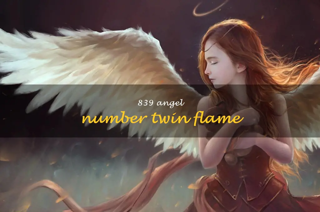 839 angel number twin flame