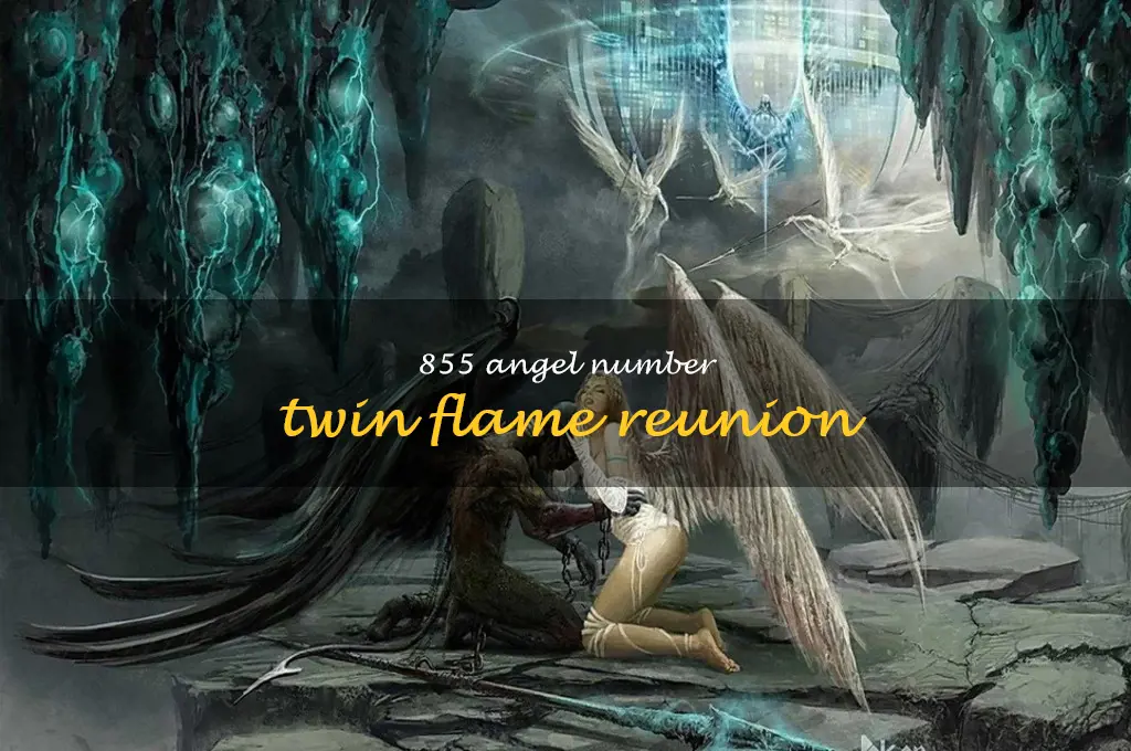 855 angel number twin flame reunion