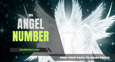 Discover the Meaning Behind the 855 Angel Number