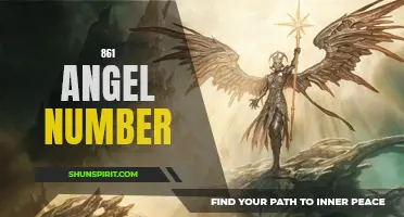 Unlock the Meaning of 861 - What Does the Angel Number 861 Mean?