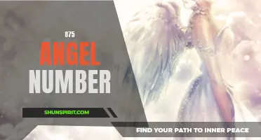 Unlocking the Meaning and Significance of 875: A Guide to Interpreting Angel Number 875