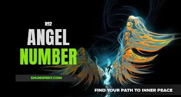 Unlock the Meaning Behind 892: What the Angel Number 892 Means For You