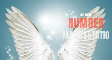 Unlock Your Destiny with 919 Angel Number Manifestation