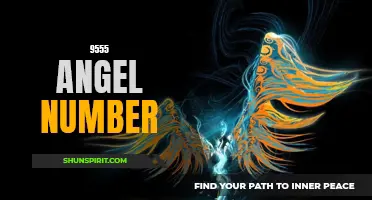 Unlocking the Meaning Behind the 9555 Angel Number