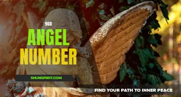 Unlocking the Spiritual Meaning Behind the 960 Angel Number