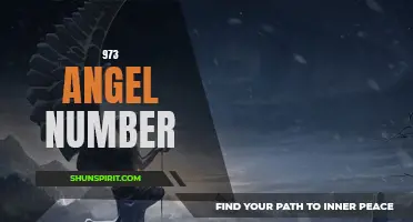 Unlock the Power of 973: Discover the Meaning of the Angel Number 973