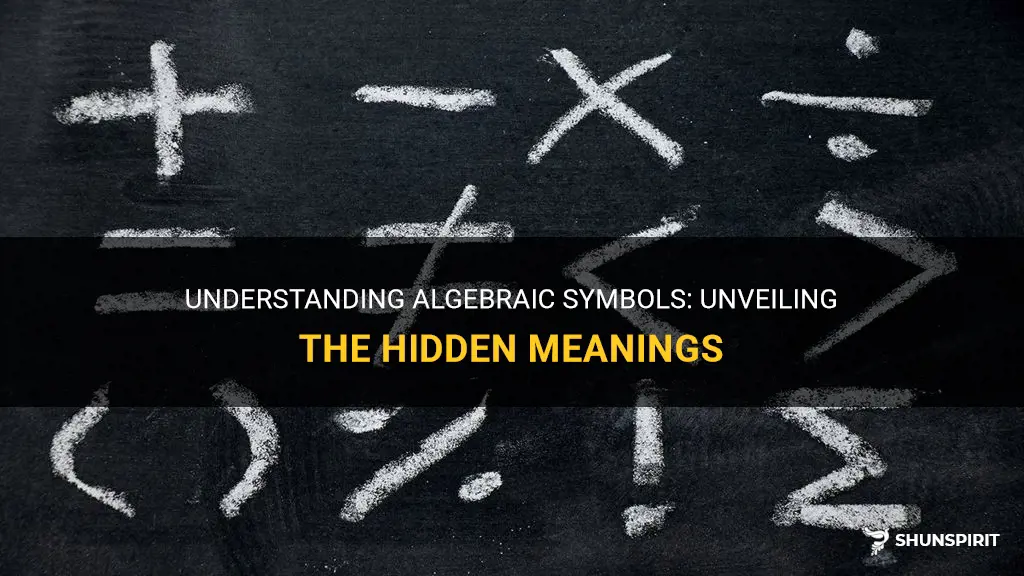 algebraic symbols and meanings