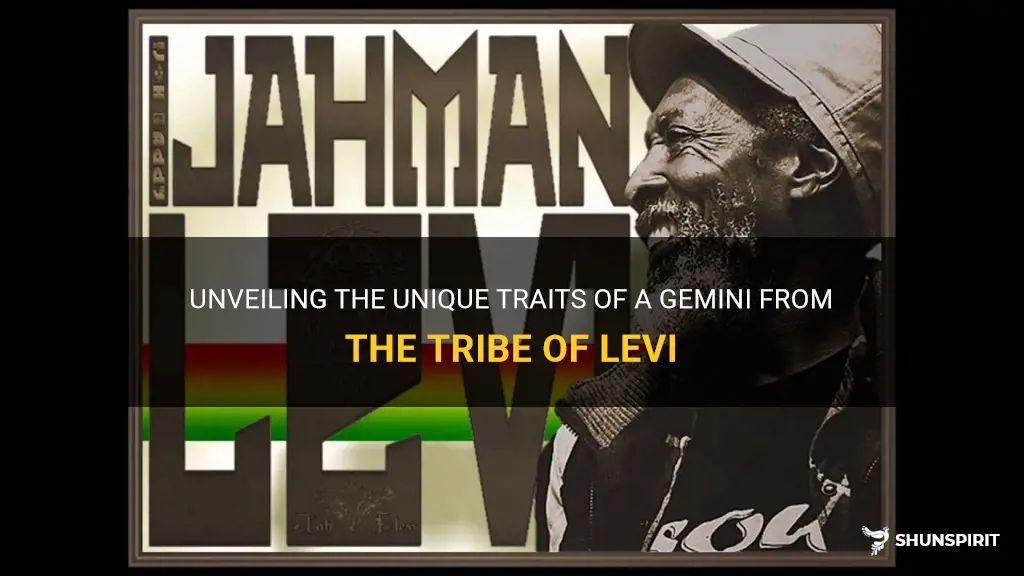 am a gemini from the tribe of levi