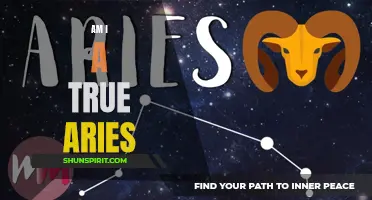 Unveiling Aries: Discovering the True Traits of an Aries Individual