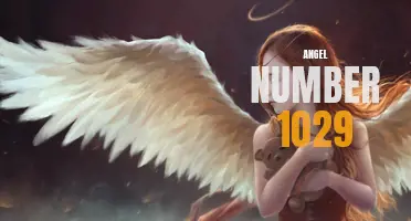 Discover the Meaning Behind Angel Number 1029