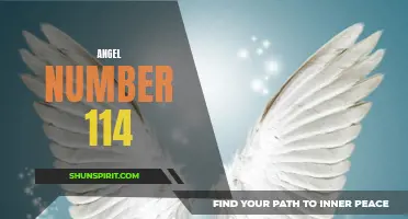 Unlock the Power of Angel Number 114: Discover Its Hidden Meaning!