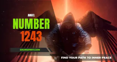 Unlock Your Potential with Angel Number 1243!