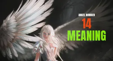 Uncovering the Mystical Meaning of Angel Number 14