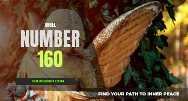 Unlock Your Life Path with Angel Number 160