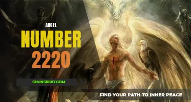 Discover the Meaning Behind Angel Number 2220!
