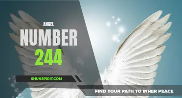 The Meaning Behind Angel Number 244: Unlock Your Divine Purpose