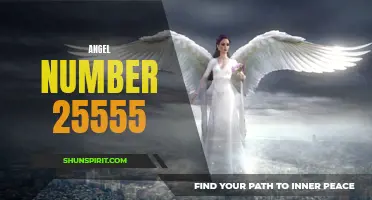 Discover the Meaning Behind Angel Number 25555