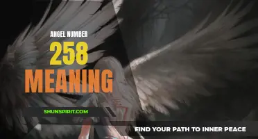 Discover the Meaning Behind Angel Number 258