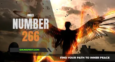 Unlock the Hidden Meaning Behind Angel Number 266