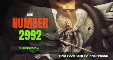 Discover the Meaning Behind the Angel Number 2992!