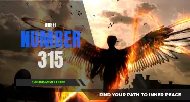 Unlock Your Inner Divine Wisdom with Angel Number 315